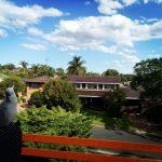 sydney home blue skies sunshine