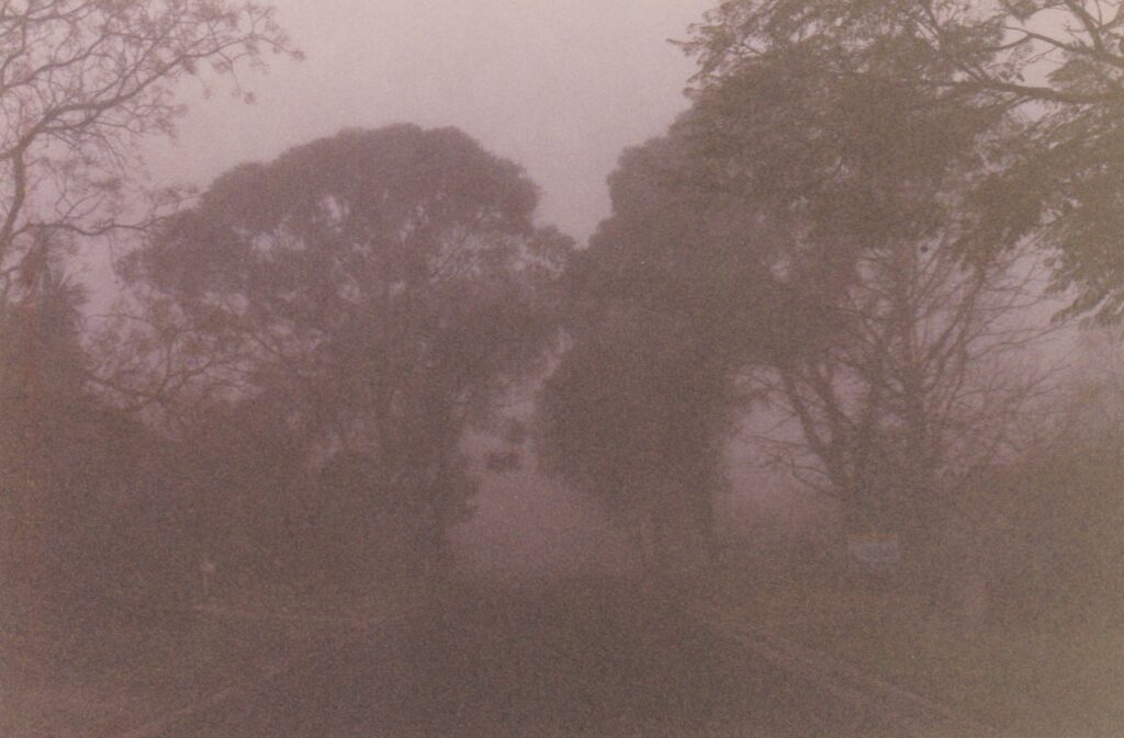 View Of Morning Fog On My Street In New South Wales, Sydney, Australia, July 15, 1997