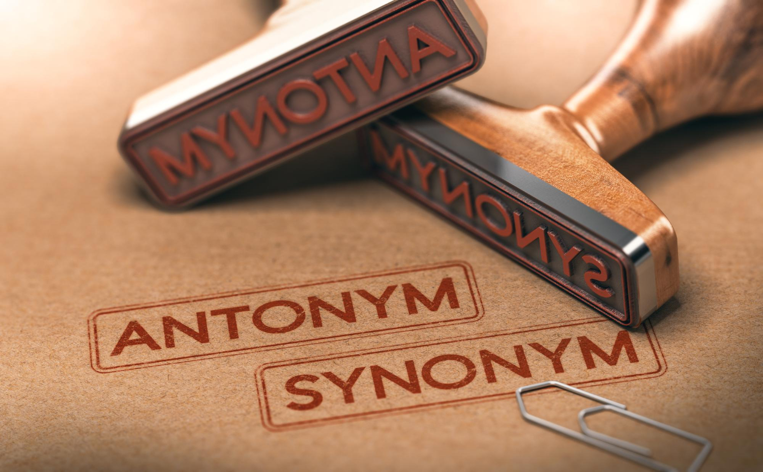 two rubber stamps with text antonym synonym linguistics semantics concept