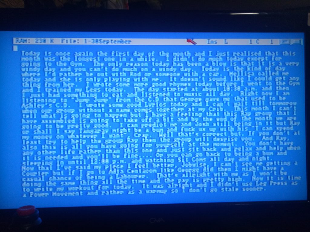A screenshot of the Diary of a Mad Chaos in a text editor on the Amiga 500 home computer