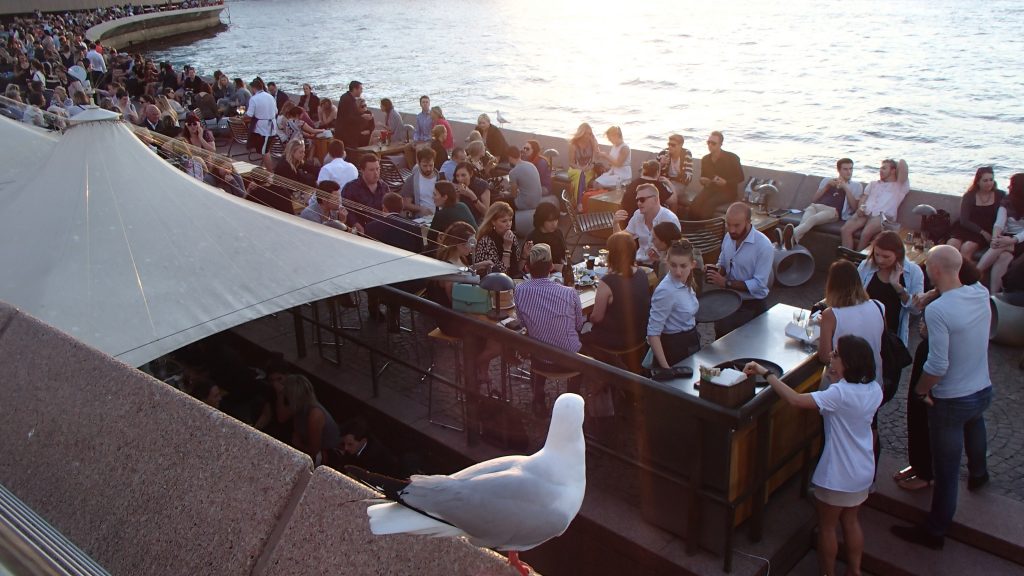 Sydney Harbor Drinks Crowd