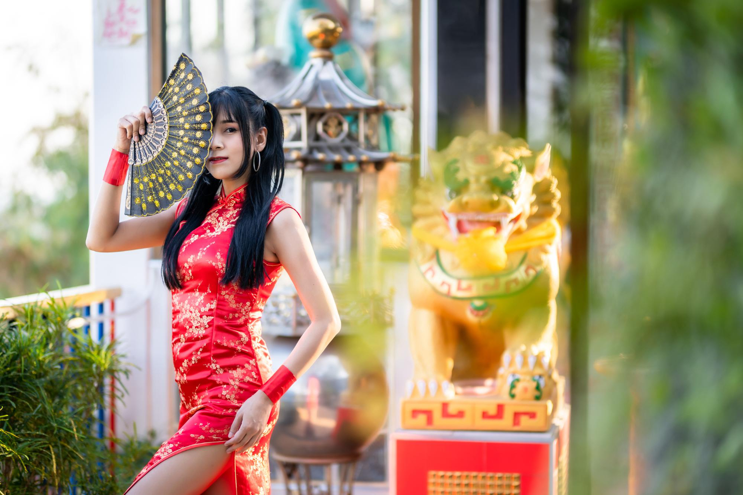 asian young woman wearing red traditional chinese cheongsam decoration holding chinese fanning chinese new year festival