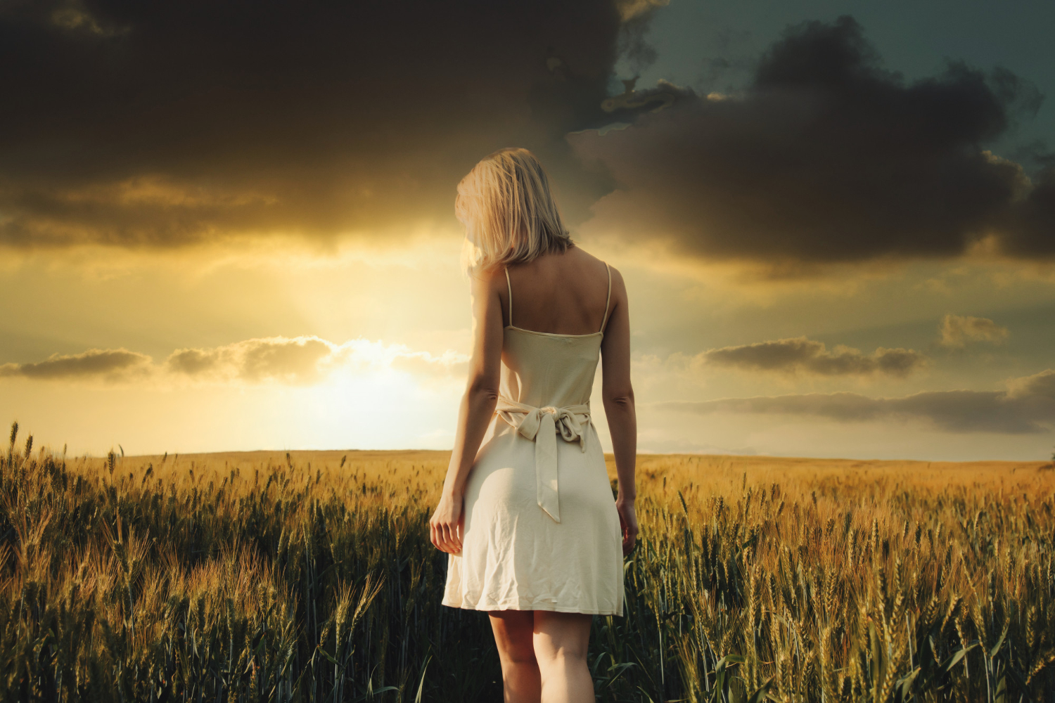 beautiful blonde girl wheat field sunset time jewell