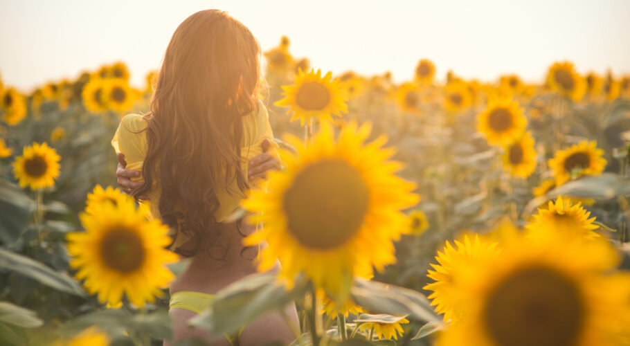 beautiful woman scarlett with long hair and sexy back in sunflower field in summer