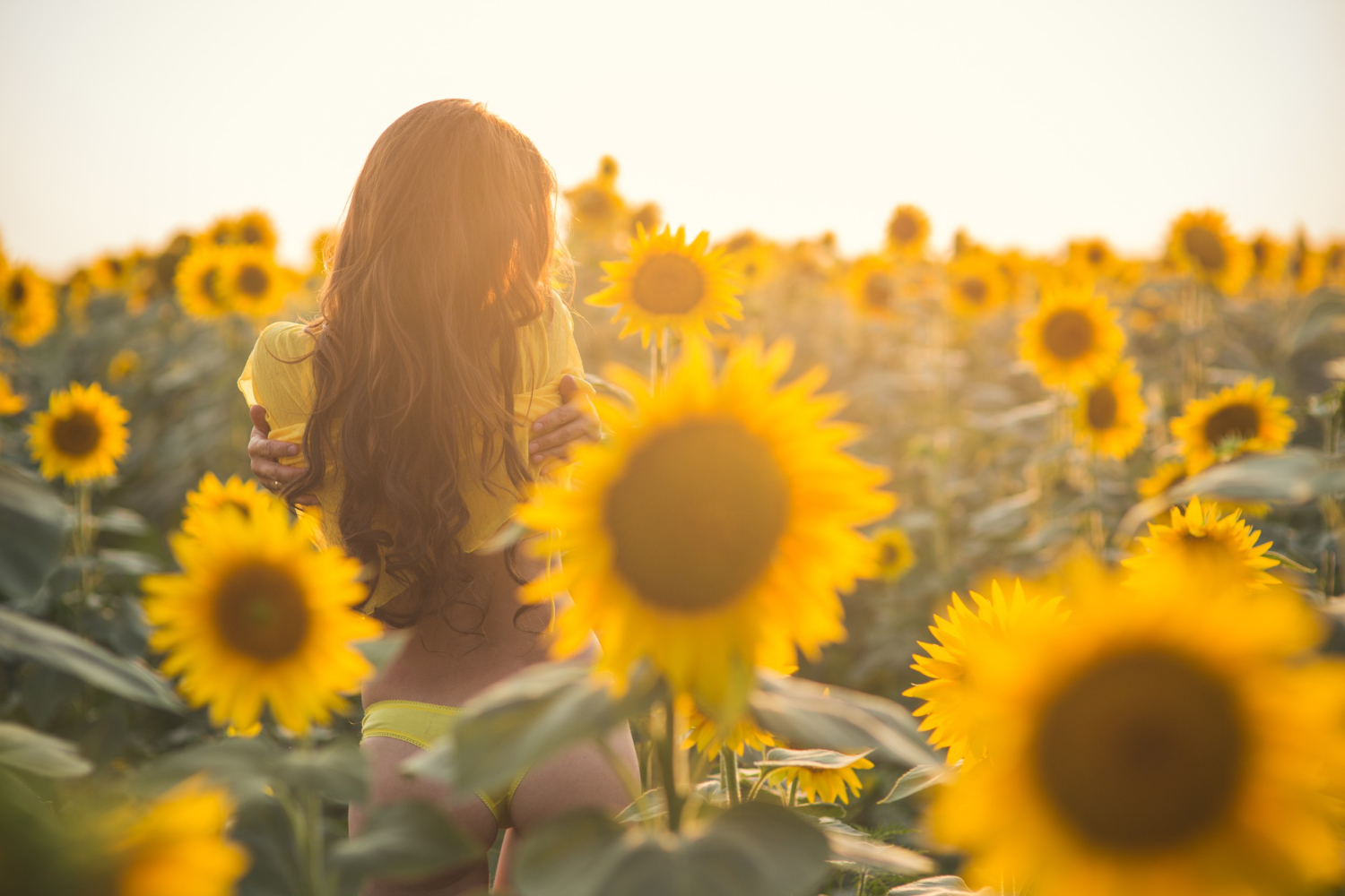 beautiful woman scarlett with long hair and sexy back in sunflower field in summer