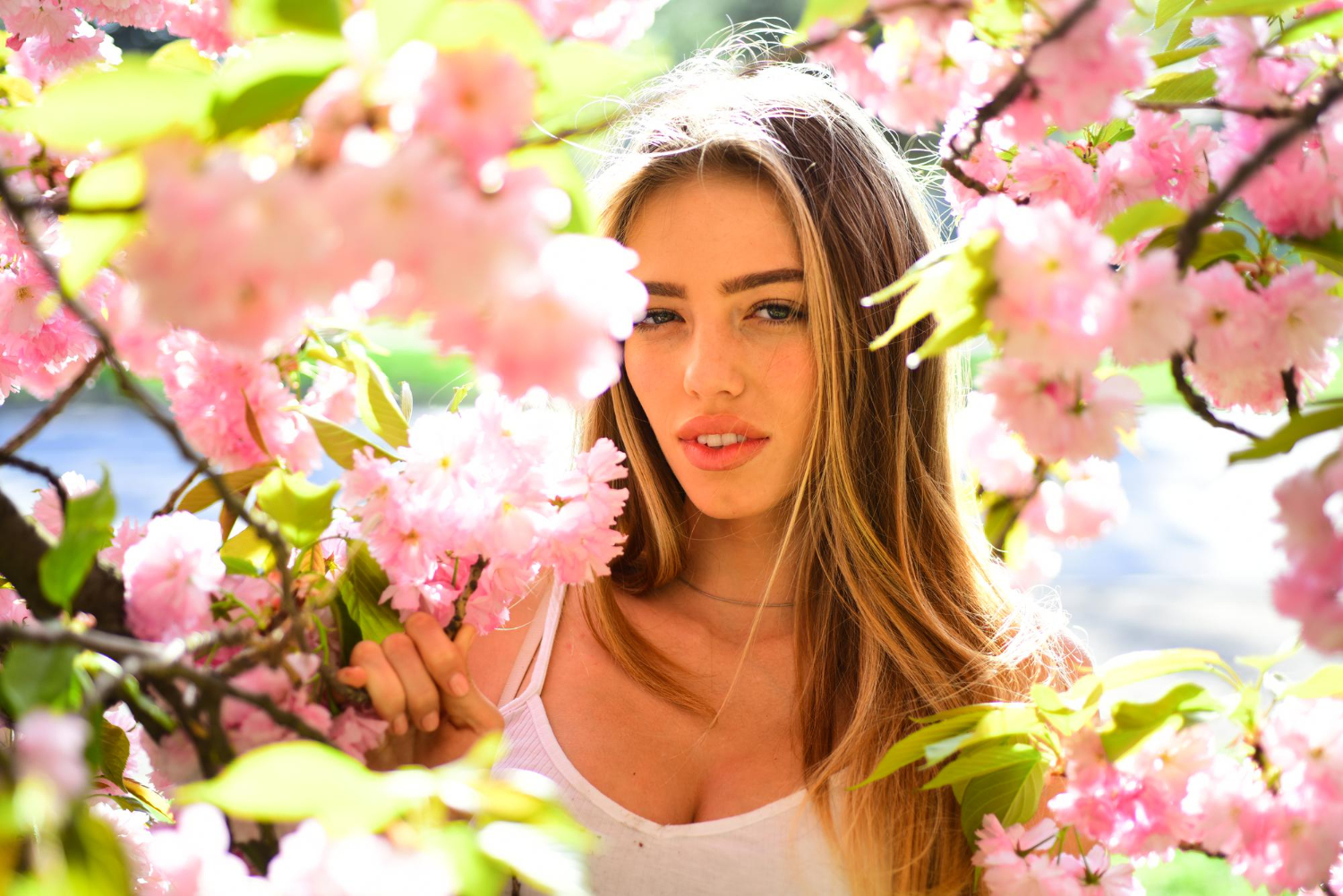 blond girl natural background sensual female enjoying aroma cherry blossom pretty young woman lyssa blooming flowers with pink petals