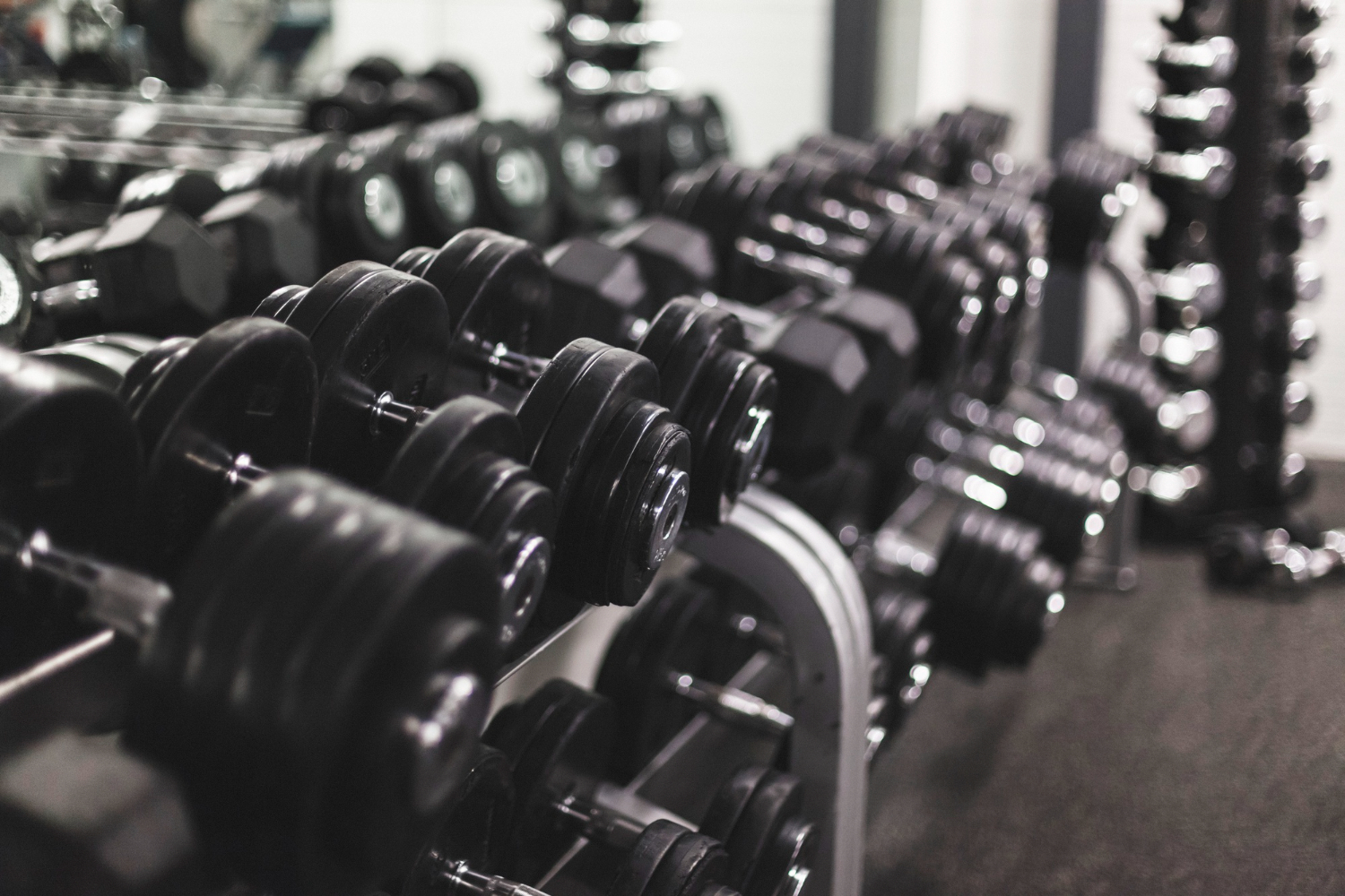 close up of dumbbells arranged in a row in bodybuilding fitness gym
