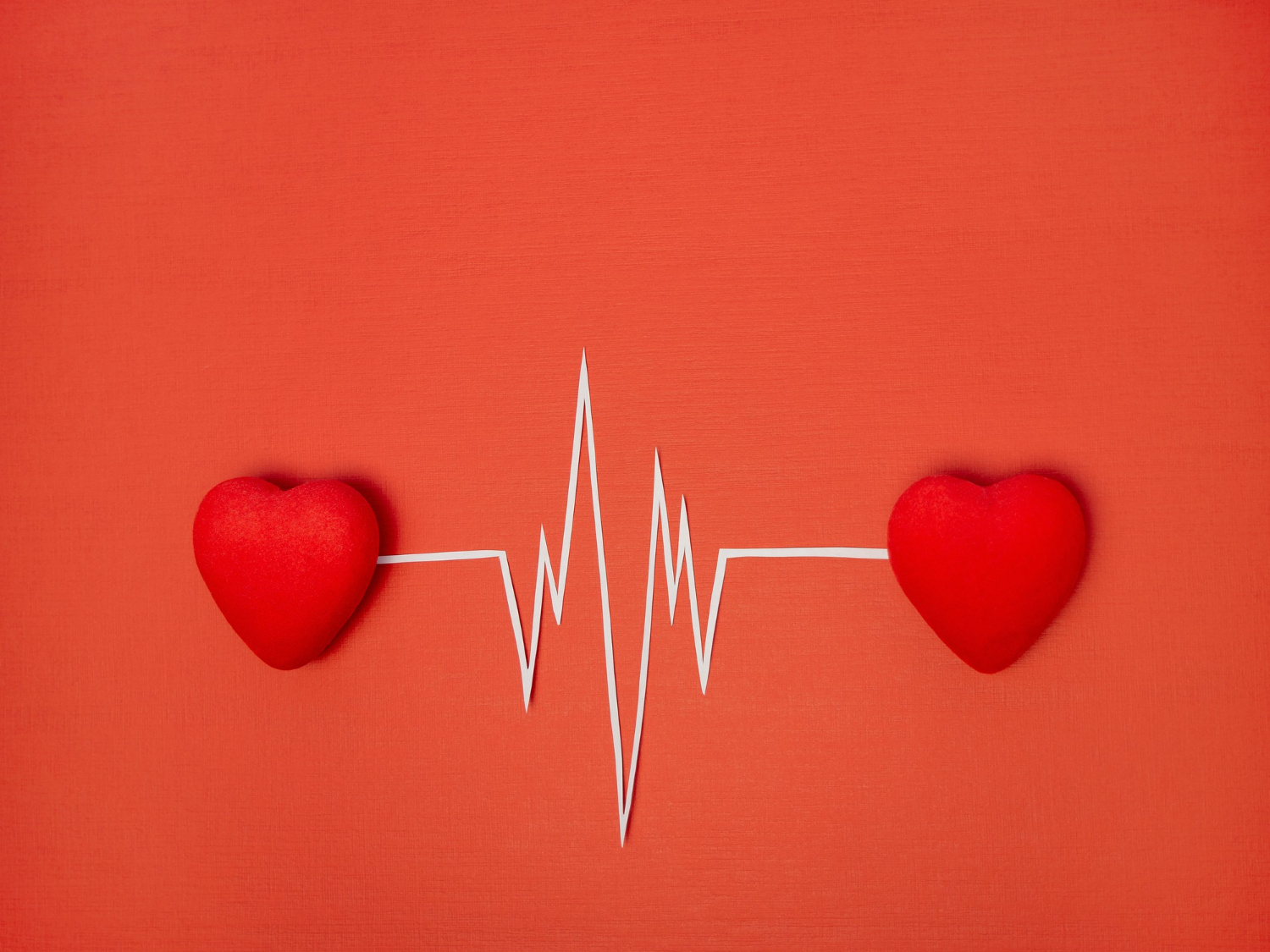 rhythm two hearts heartbeat cardiogram writing a poem
