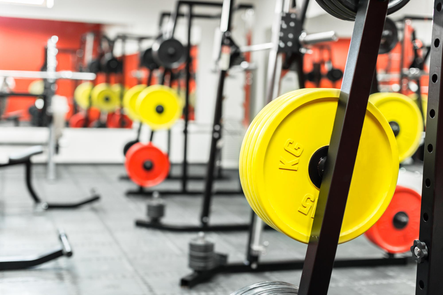 gym interior with equipment