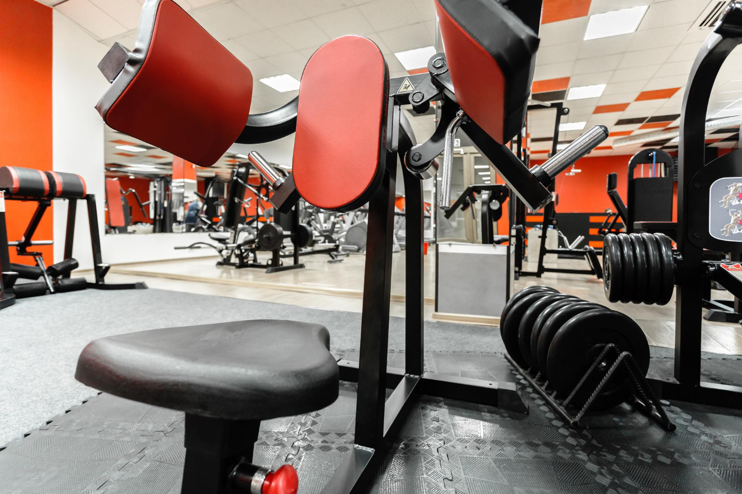 gym interior with bodybuilding equipment