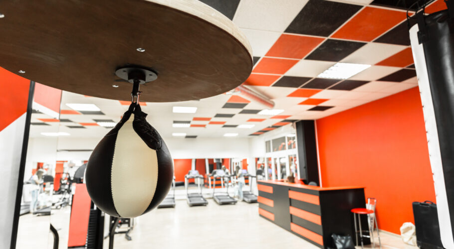 gym interior with equipment bodybuilding