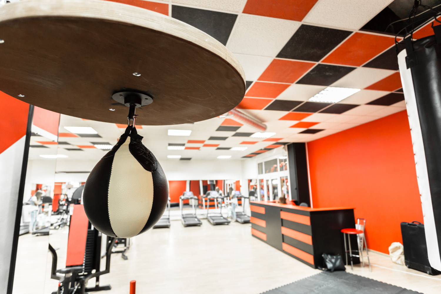 gym interior with equipment bodybuilding