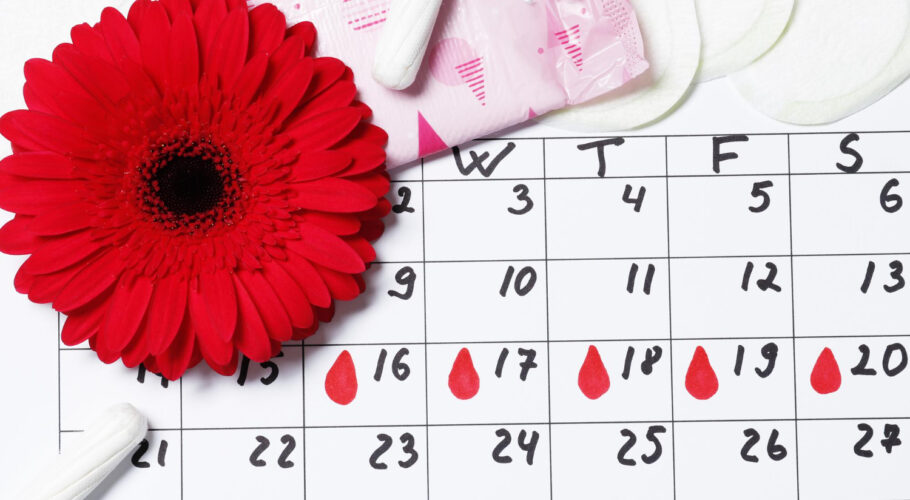 menstrual cycle calendar gerbera tampons pads ovulation concept menstruation pms