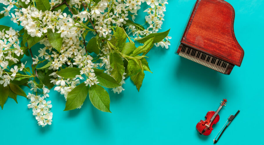 miniature piano violin with blooming wild cherry tree branches