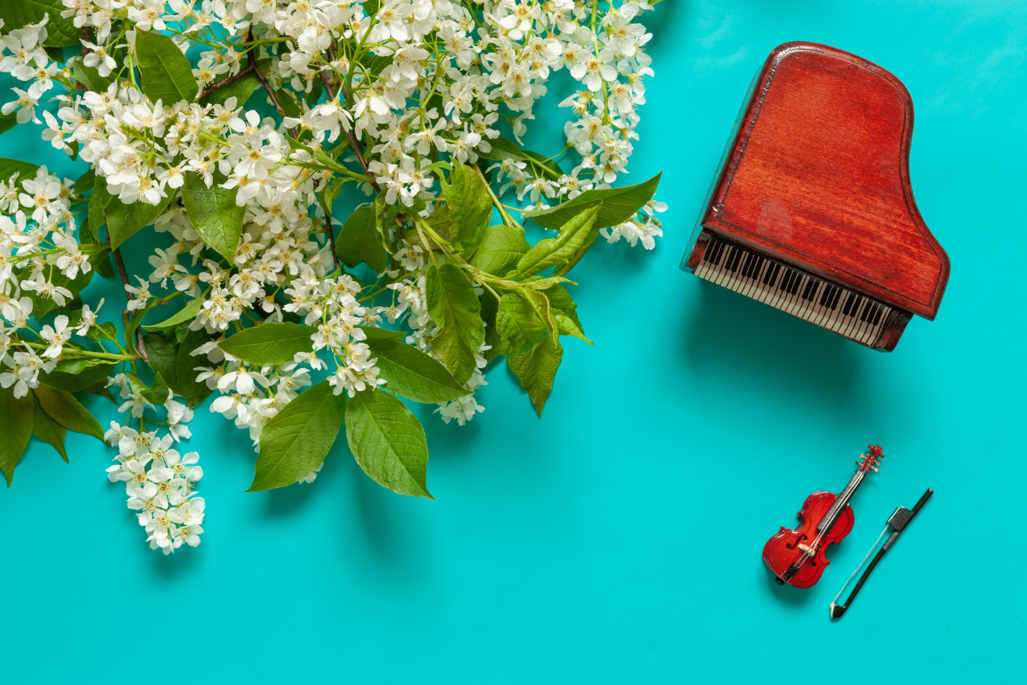 miniature piano violin with blooming wild cherry tree branches