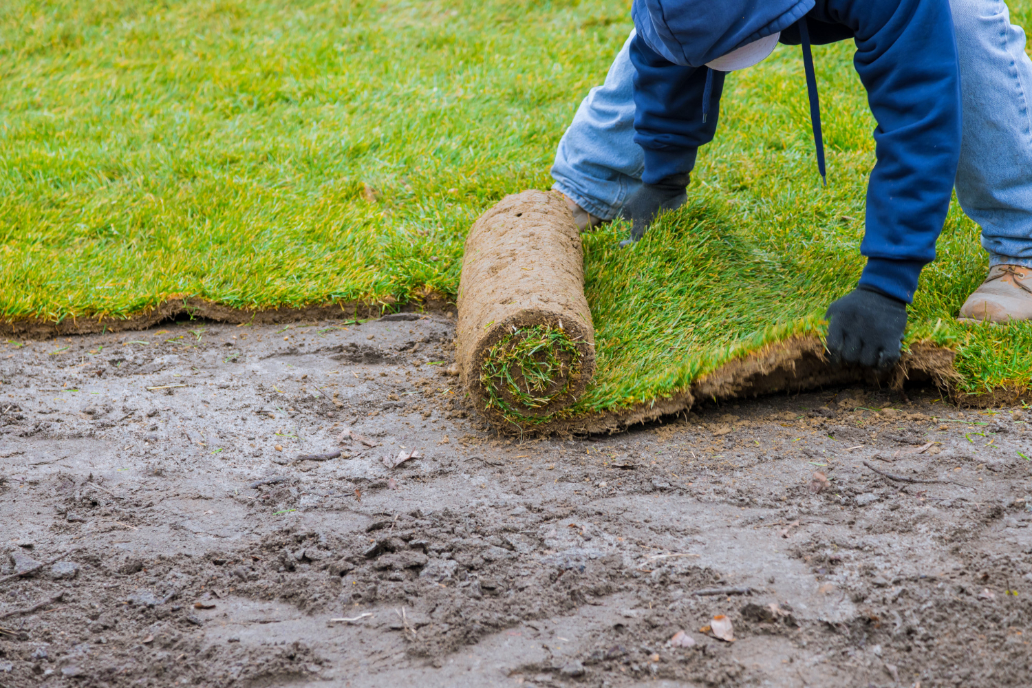 new lawn rolls fresh grass turf ready be used gardening