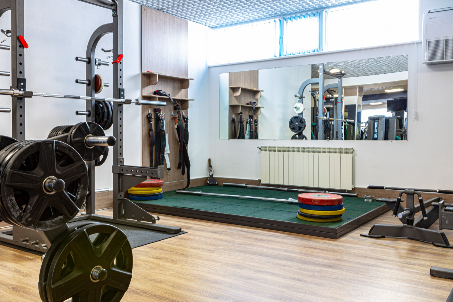 new sports equipment in bodybuilding gym