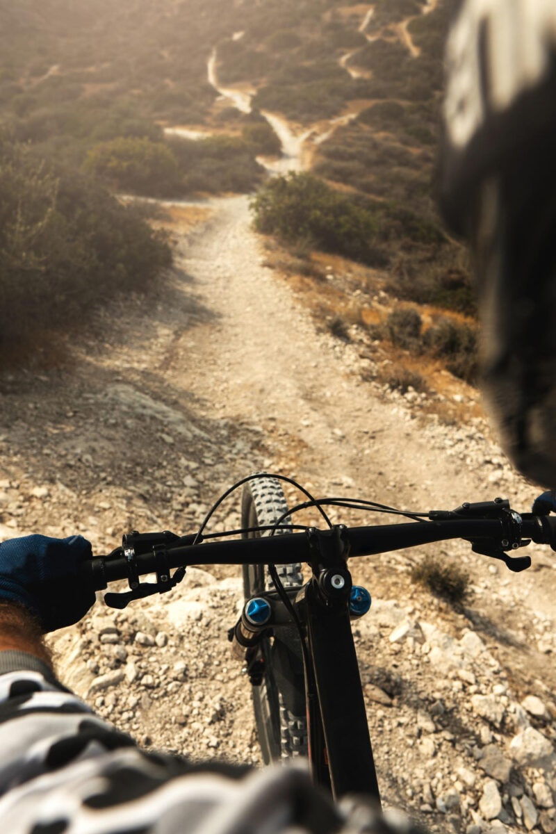 professional mtb bike rider during downhill ride his bicycle mountains