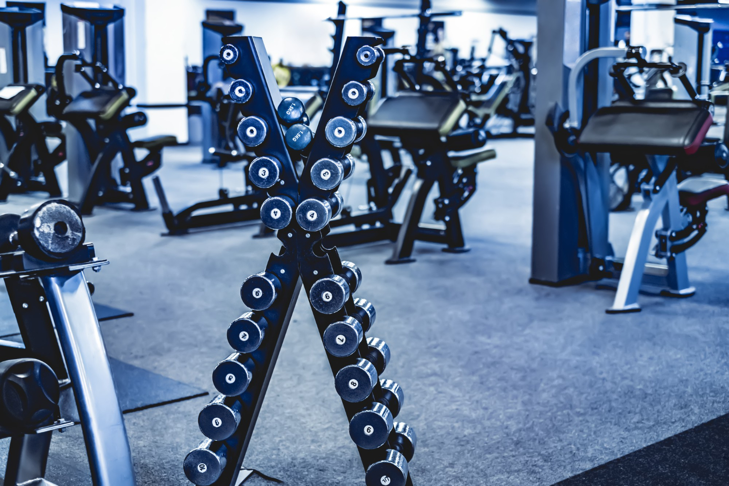 gym bodybuilding rack with a set of dumbbells