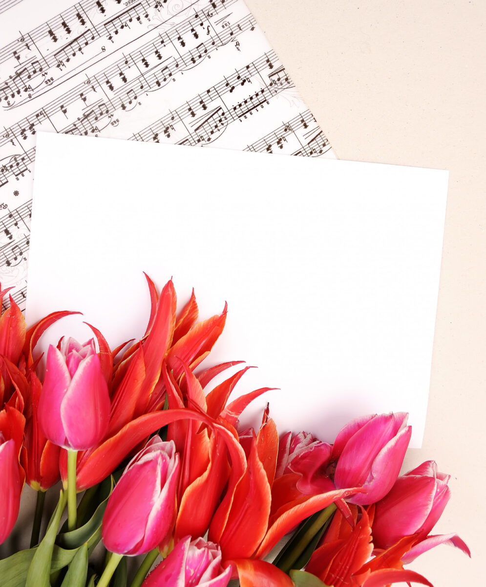 red tulips with music sheet page