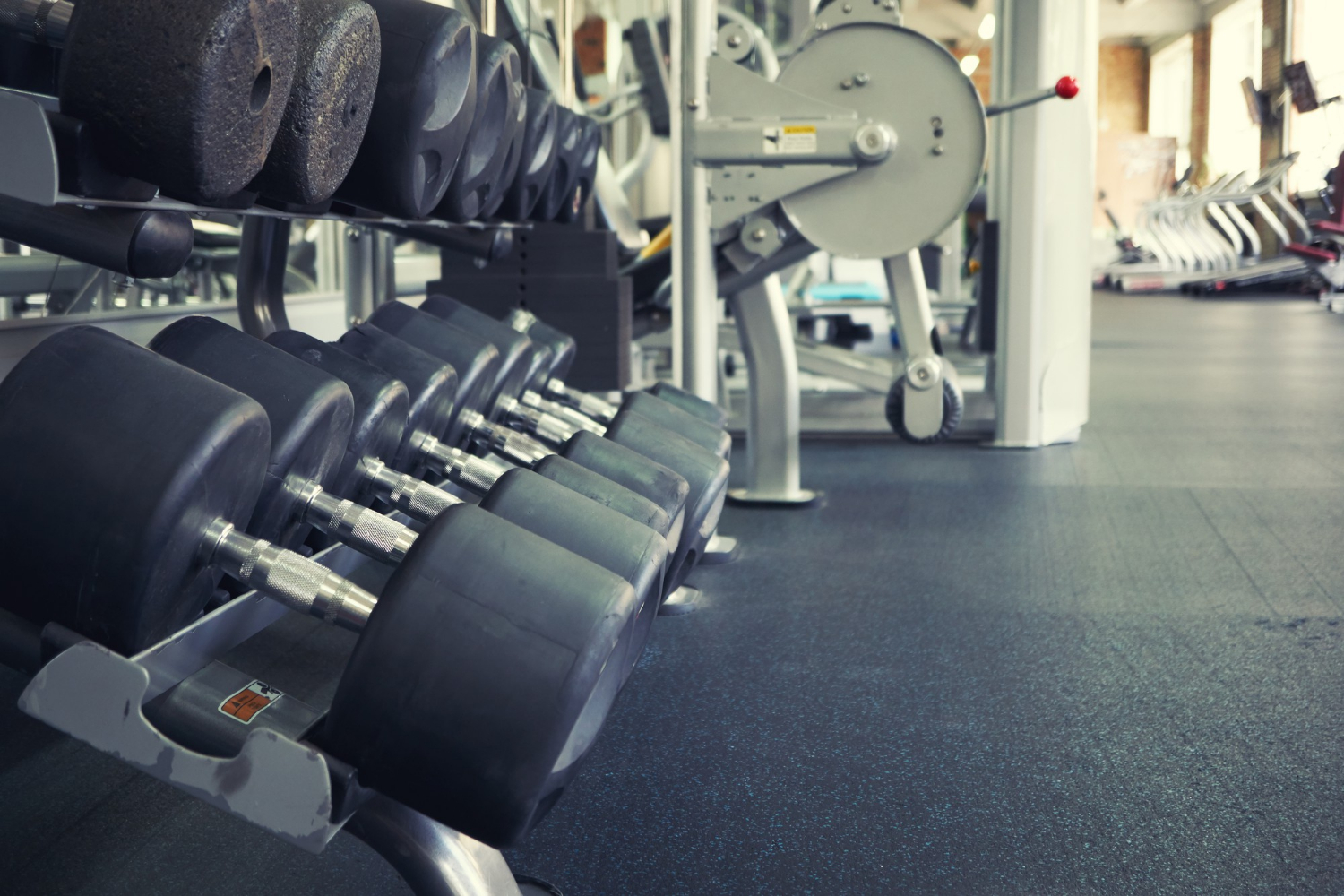 rows of dumbbells in empty gym with treadmills