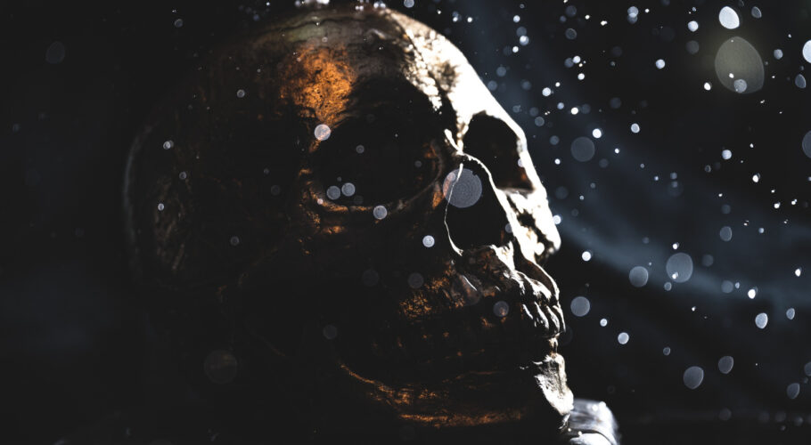 a human skull shot on a black background
