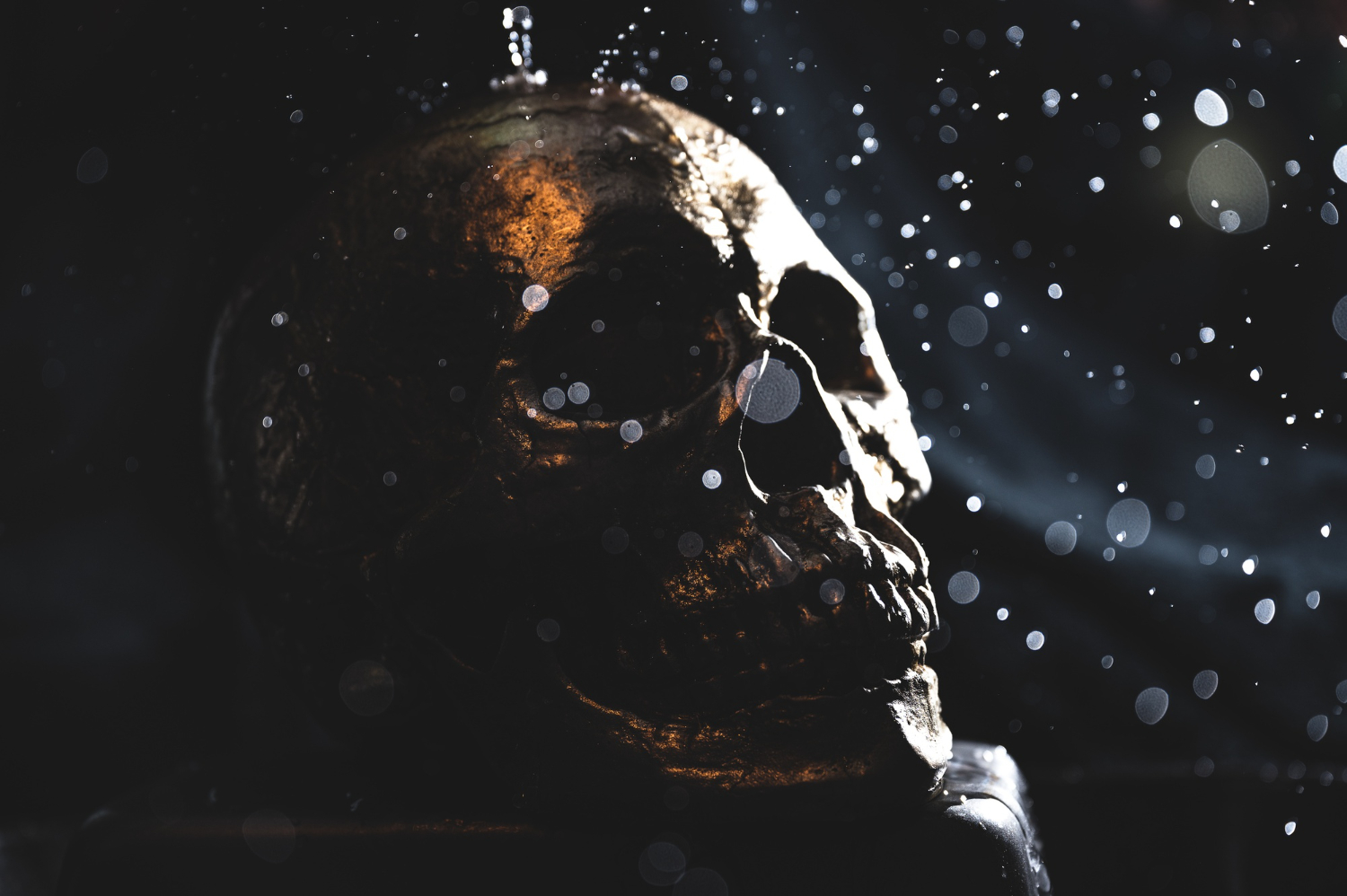 a human skull shot on a black background
