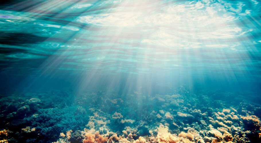 underwater landscape slow rise