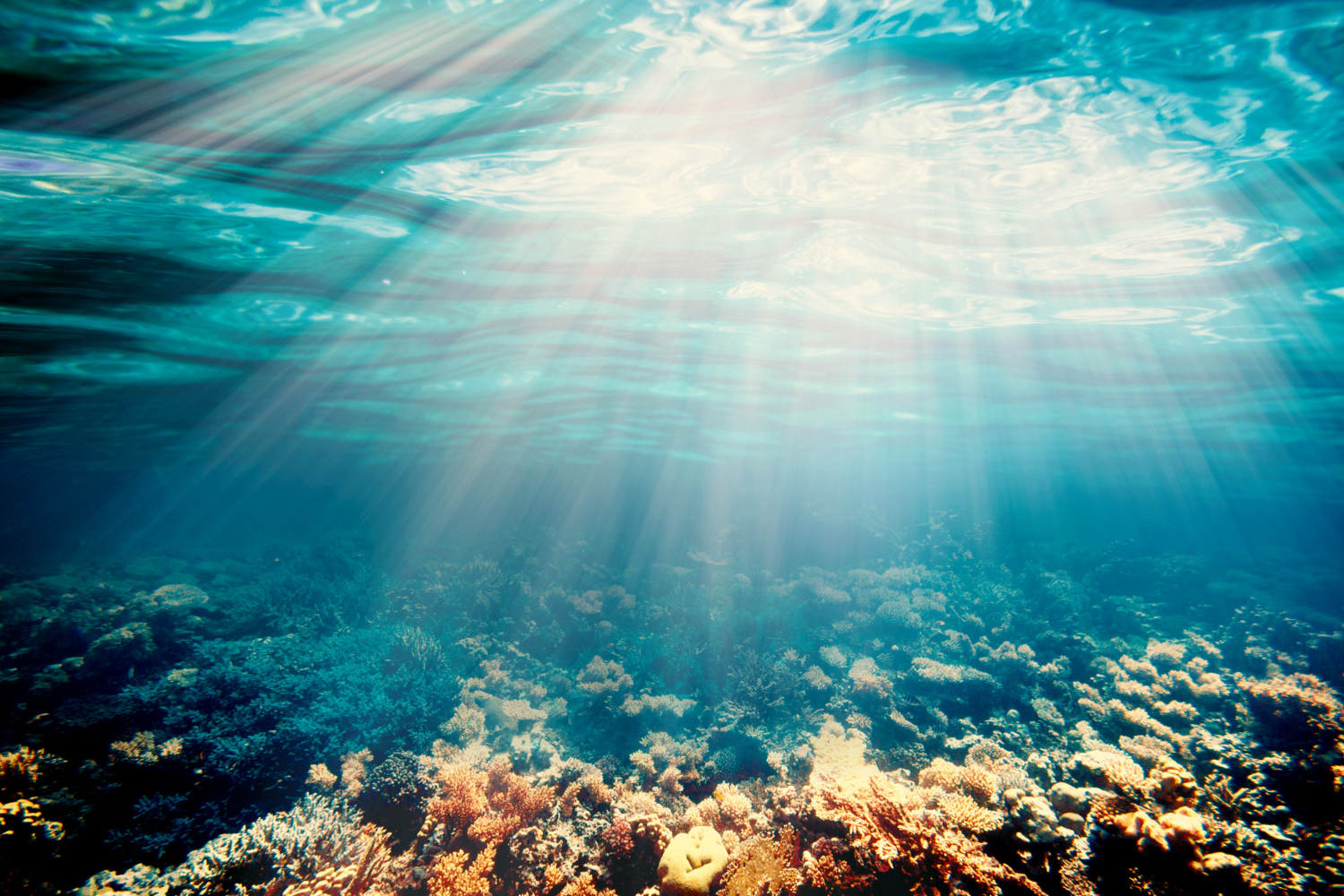 underwater landscape slow rise