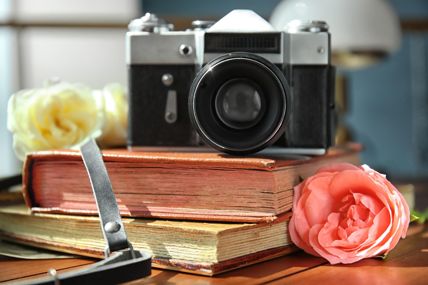 vintage camera beautiful roses photo albums