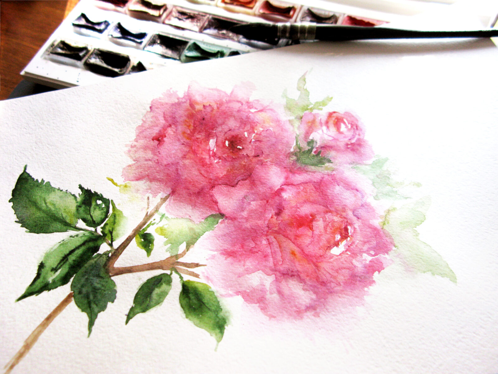 Watercolor pink flower peony rose floral composition plant paint palette brush paintbrush hand creative art drawing