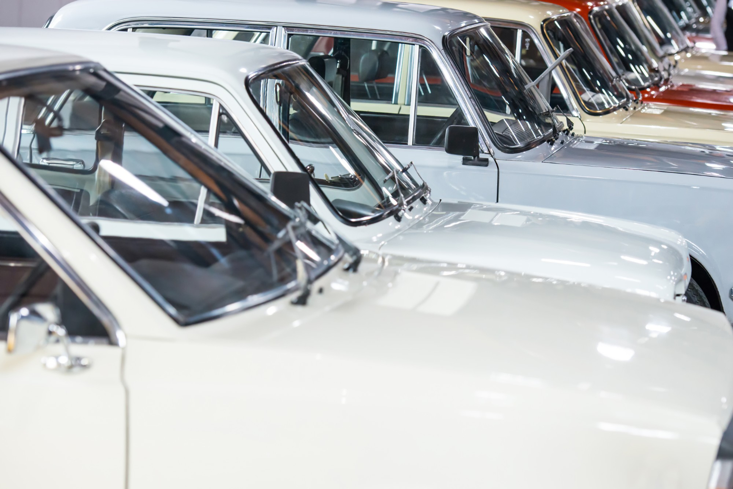 white cars in used car yard being sold in parking lot