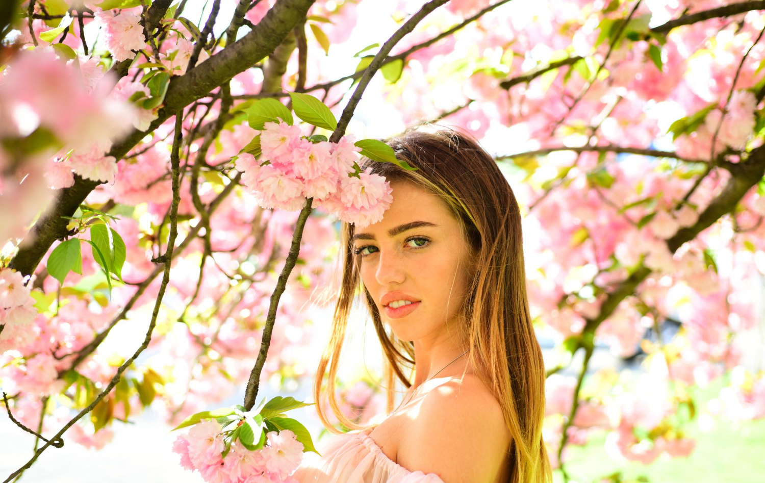 woman posing japanese cherry beauty sexy girl enjoying fragrance flowery tree portrait lovely blond female with full lips lyssa